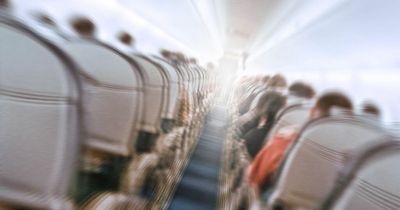 Scientist warns 'bone breaking' plane turbulence could triple in coming years