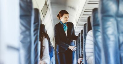 Weirdest flight attendant sightings - from baby in overhead locker to washing machine