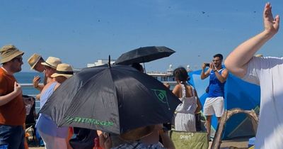 'Biblical' swarm of flies descend on Blackpool tourists