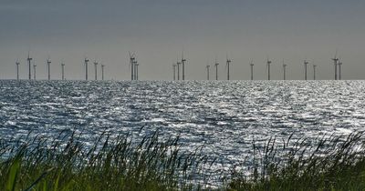 Fixed prices for older offshore wind backed by industry to reduce exposure to gas-led cost hikes