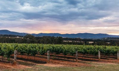 From perfect soil to nailing non-alcohol: five reasons why Australian wine is on top