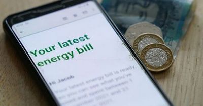 Octopus energy, Ovo energy, E.ON, British Gas: What the big energy companies will do for people when they can't pay their bills