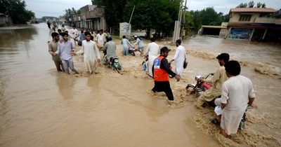 Woman dies and over 100 others bitten by venomous snakes in Pakistan floods