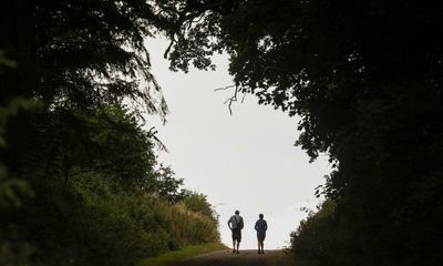 ‘I’m glowing’: scientists are unlocking secrets of why forests make us happy