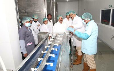 Andhra Pradesh: Agri Minister inaugurates renovated shrimp processing unit in Nellore