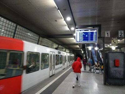 Government has no plans for UK version of €9 train ticket scheme, despite Germany success