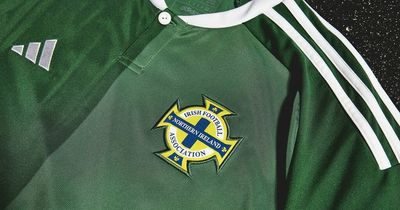 Northern Ireland football fans don't hold back in their assessment of new kit