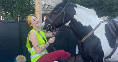 A horse walks into a bar..and enjoys a glass of Guinness as bemused locals look on