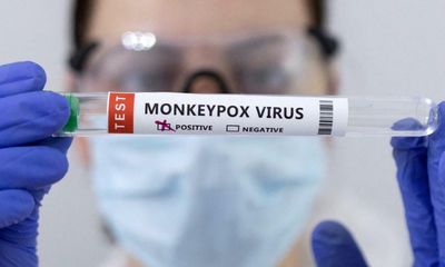 Second monkeypox strain found in the UK