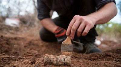 Africa’s Oldest Dinosaur Found in Zimbabwe