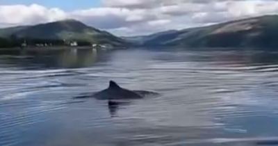 Woman speaks of 'amazing experience' as dolphins swim next to her on Scots loch