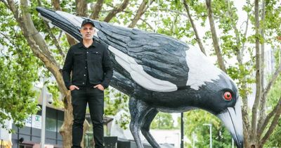 Good news: Big Swoop is coming home to Garema Place soon