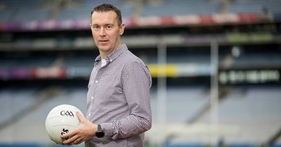 Oisín McConville agrees to take Wicklow job