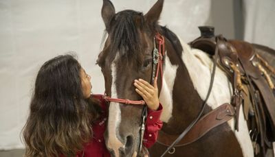 School hopes ‘life-changing’ donation — 3 horses — will help stressed students heal