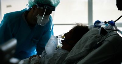 World Health Organization to probe mystery pneumonia outbreak that has left three dead