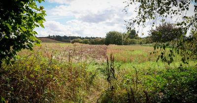 Concern for loss of green belt land over plans for 300 new homes in Nottinghamshire