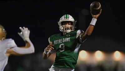 Notre Dame’s Ricciardi twins grant mom’s wish and beat St. Patrick