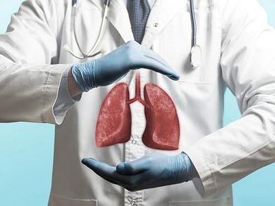Health: New treatment could increase number of lung donors