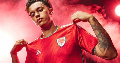 New Wales World Cup kit is finally here: Pictures, cost and where to buy