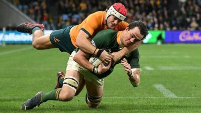 Wallabies fall to heavy Rugby Championship defeat against the Springboks at the Sydney Football Stadium
