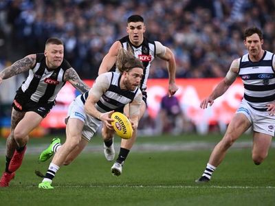 Cats beat Magpies in epic AFL final