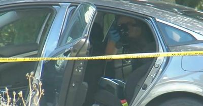 Tragic girl, 2, found dead after she was forgotten in family car for hours in 32C heat