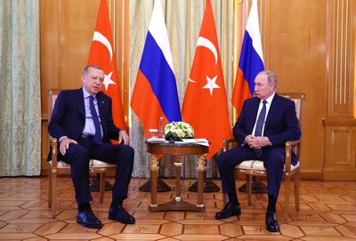 Turkey can be facilitator on Ukraine nuclear plant, Erdogan tells Putin