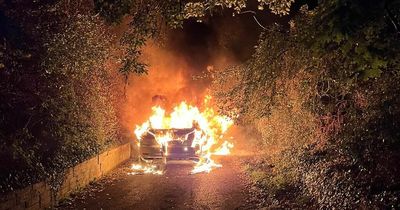 Dublin Fire Brigade battle car blaze that spreads to nearby trees and bushes
