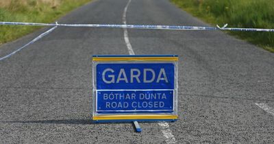Man dies days after being struck by SUV in Waterford as gardai appeal for witnesses