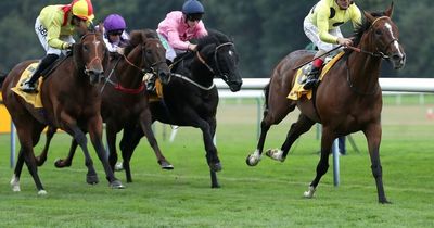 Triple Time wins the Superior Mile at Haydock Park