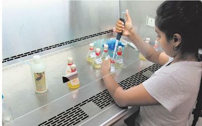 Factors to consider when migrating individuals for conservation efforts