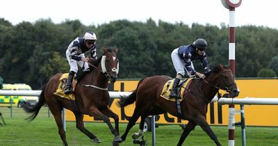 Island Brave battles to second victory in the Old Borough Cup at Haydock Park