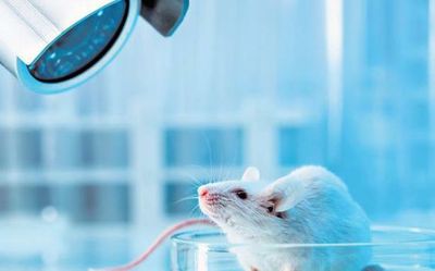 Has science evolved to record dreams?