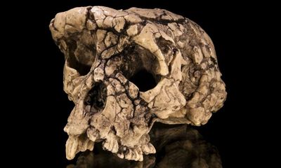 Oldest human or just another ape? Row erupts over 7m-year-old fossil