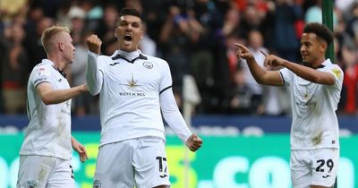 The wonderful Swansea City player ratings as bold team selection justified in QPR win