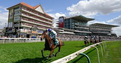 Newsboy's Sunday horse racing tips and NAP for York and Fontwell Park