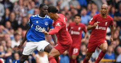 Amadou Onana sends five-word VAR message after Virgil van Dijk challenge against Everton