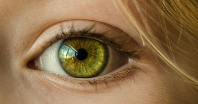 Diabetes warning signs in your eyes and how condition can damage your vision