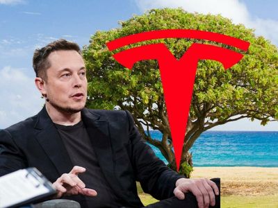 Elon Musk Calls Out Moody's As 'Irrelevant' In Evaluating Tesla's Credit Rating