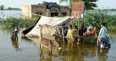 'Pakistan flood victims need urgent help - we should not turn our backs on them'