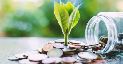 What is a sustainable economy?