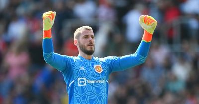 Martin Dubravka transfer can give David de Gea what he wants at Manchester United