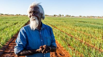 Traditional owners prepare for court challenge to NT's largest water licence on Singleton Station
