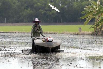 Thailand to push for fairer rice prices