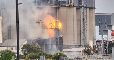 Residents evacuated but situation under control after dramatic fire at GrainCorp Carrington