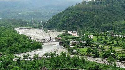 Dehradun: Now, 2,155 trees to be felled for new assembly building in Raipur