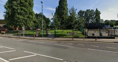 Man making threats with 'large meat cleaver' Tasered by police
