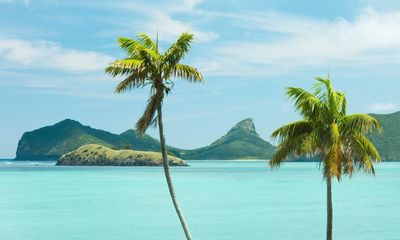 The palm that changed the way we live