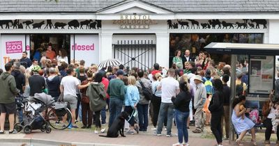 Bristol Zoo sees 30,000 visitors say farewell to beloved Bristol attraction in final week