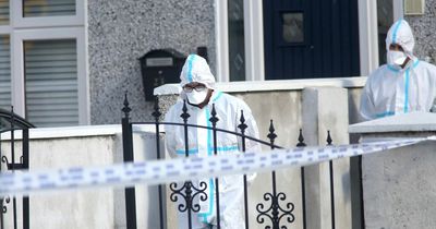 Rossfield deaths: Twins, 8, and teenage girl, 18, die in violent incident in Tallaght